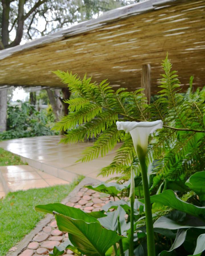 Highveld Splendour Boutique Bed And Breakfast Ermelo Bagian luar foto